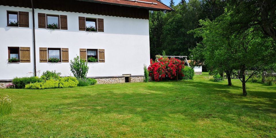 Bayerischer Wald Urlaub entspannen einfach abschalten in Geiersthal