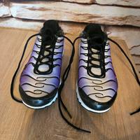 Nike TN Air Max Plus „Reverse Grape“ Disco Purple Leipzig - Großzschocher Vorschau
