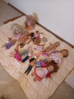 Barbie, Kevin, Puppen für Frisur machen, Ana Elsa Rheinland-Pfalz - Damscheid Vorschau