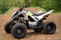 Yamaha YFZ 50 Sachsen-Anhalt - Genthin Vorschau