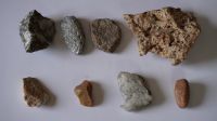 Unterschiedliche Mineralien und Steine Baden-Württemberg - Albstadt Vorschau