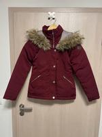 Damen Winterjacke  Hollister  Gr. S 36 Sachsen - Stollberg Vorschau