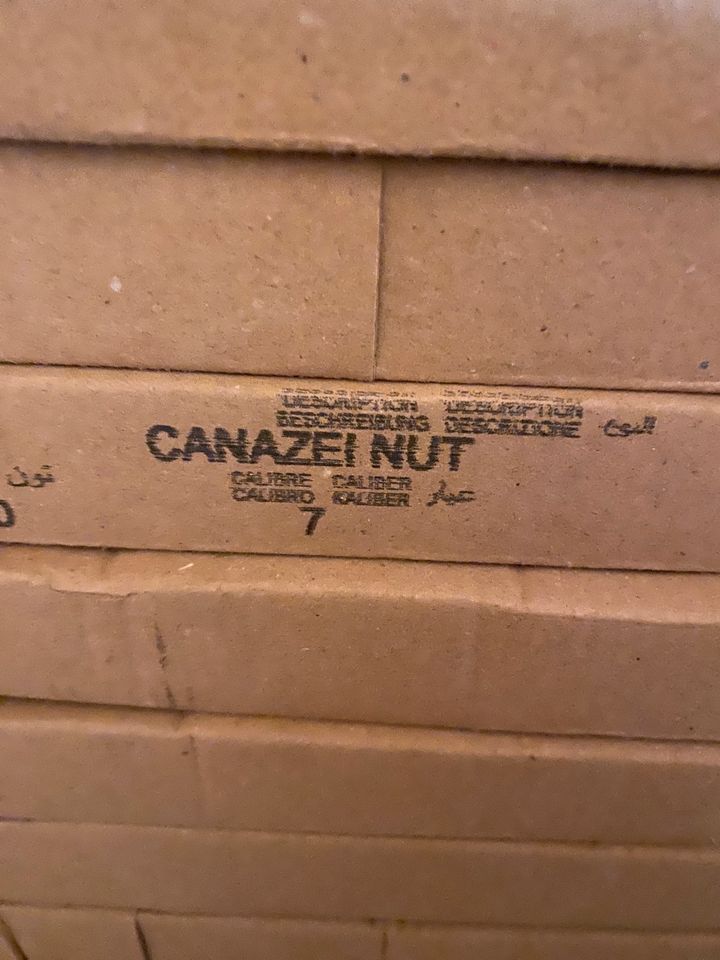 Holzoptik Fliesen 120x30cm „Canazei Nut“ originalverpackt in Mühldorf a.Inn