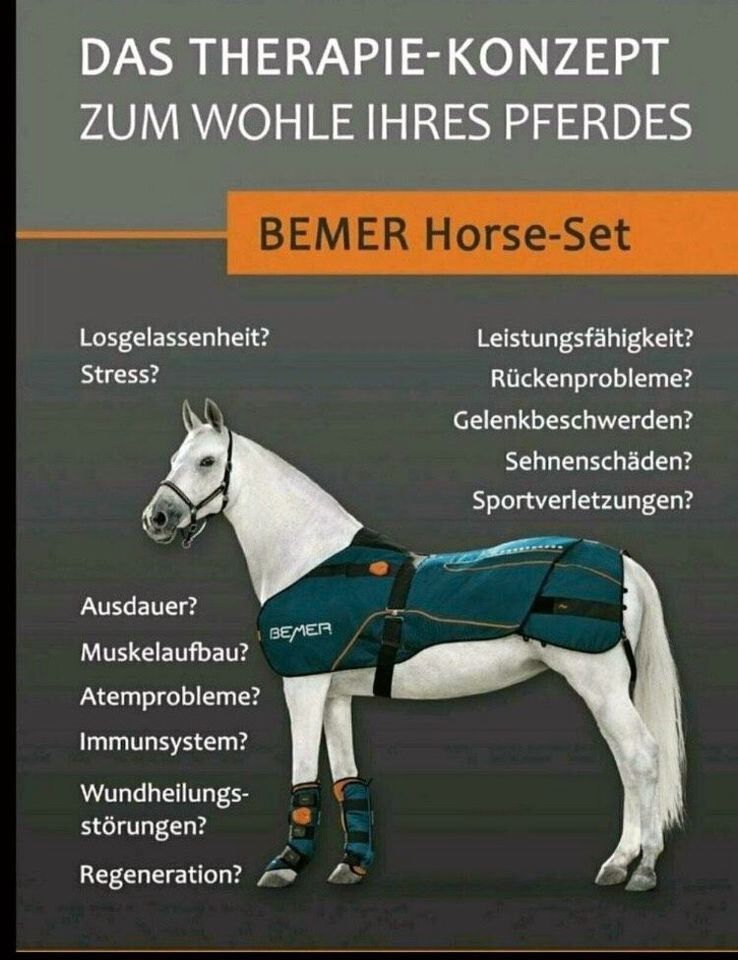 Vermietung Bemer Horse Set in Greifswald