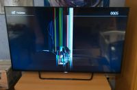 Sony 4k Fernseher defekt Nordrhein-Westfalen - Erftstadt Vorschau