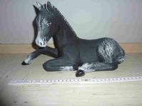 Pferd Pony Fohlen Schwarz Steinzeug Figur Skulptur Plastik Niedersachsen - Osnabrück Vorschau