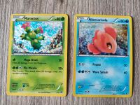 Pokémon Karten Hessen - Bad Schwalbach Vorschau