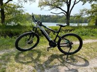 HAIBIKE SDURO HARDSEVEN 7.0 2020 e- Mountainbike Niedersachsen - Molbergen Vorschau