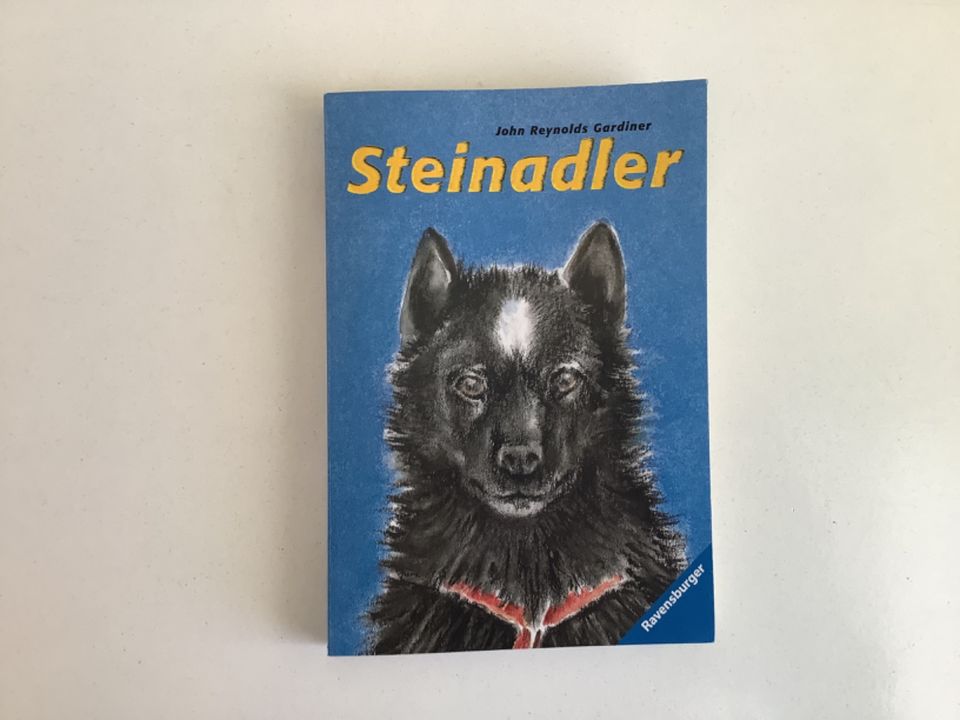 Steinadler- John Reynolds Gardiner in Ahlen