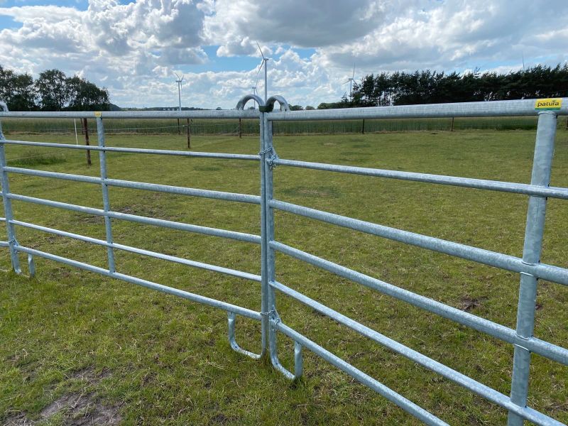 Roundpen Zaunelemente Weidezaun Gitter 3,00 x 1,70 m in Niedersachsen -  Filsum | eBay Kleinanzeigen ist jetzt Kleinanzeigen