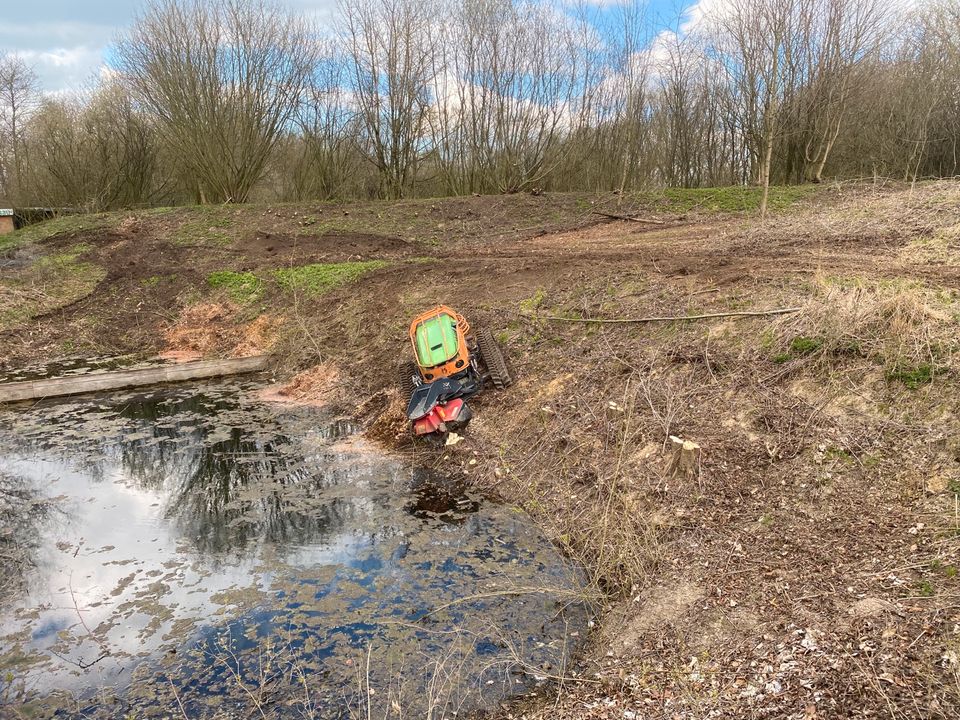 Stubbenfräsen Wurzelstockfräsen Baumstumpf fräsen in Nienwohld