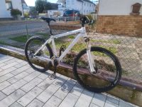 Drössiger Superlight MTB Baden-Württemberg - Edingen-Neckarhausen Vorschau