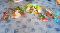 Große Playmobil Dino-Welt, bestehend aus 3 Sets Niedersachsen - Lauenau Vorschau