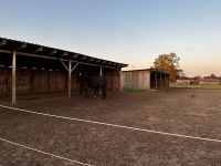 Offenstall, Offenstallplatz frei Brandenburg - Oberkrämer Vorschau