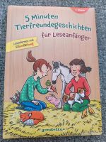 Buch für Leseanfänger mit Silbenfärbung Sachsen - Gornau Vorschau