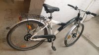 PEGASUS Fahrrad 26 Zoll Hamburg-Nord - Hamburg Winterhude Vorschau