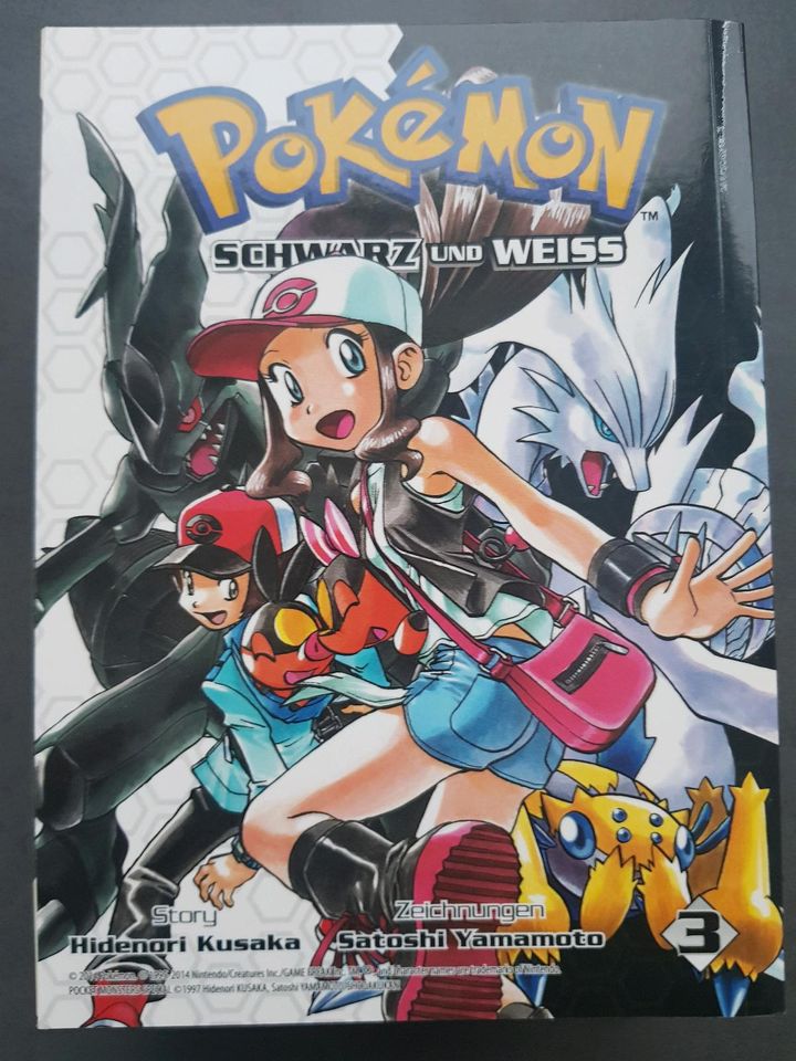 Pokémon Comic in Bünde