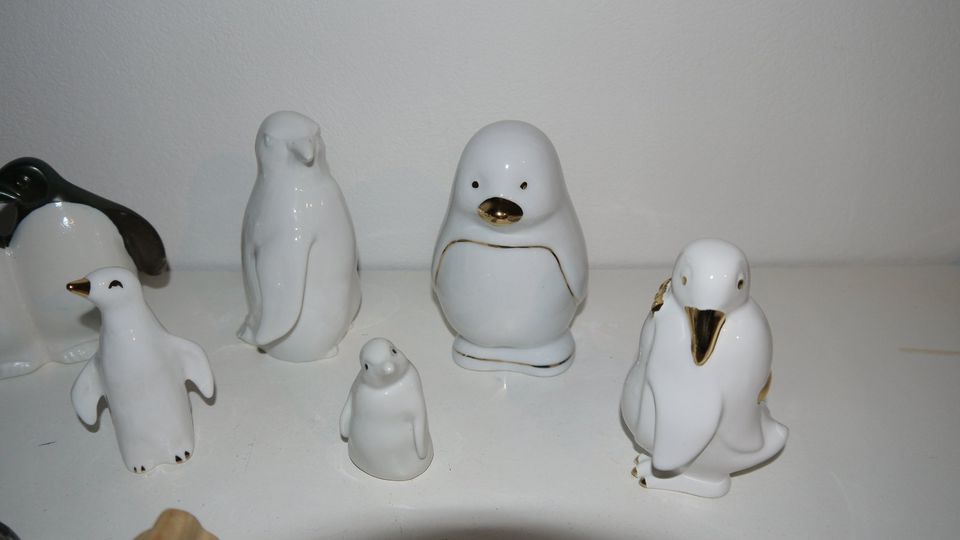 Pinguin Figuren - Sammlung in Rösrath