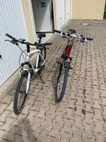 Fahrrad, BMW Cruise Bike Nordrhein-Westfalen - Büren Vorschau