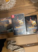 Gryphon Knight Neu und Sealed + Soundtrack Switch RARE SLG Bayern - Ebern Vorschau