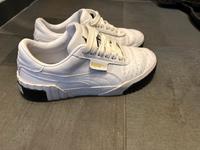 Sneakers von Puma Bayern - Birkenfeld b. Marktheidenfeld Vorschau