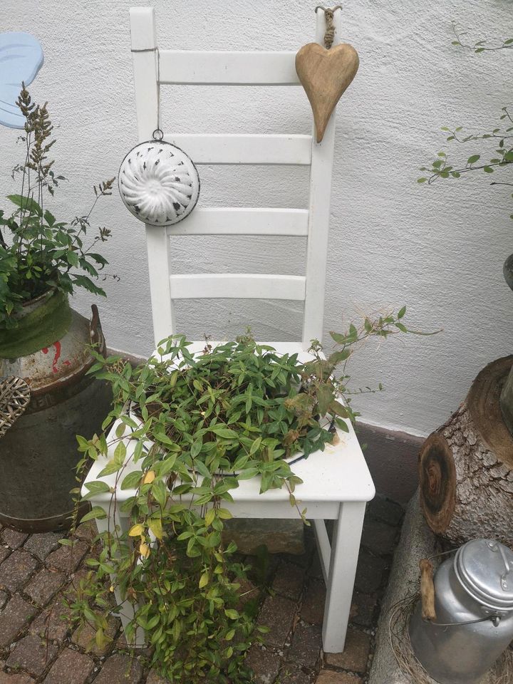 Garten Deko Stuhl alt shabby Bepflanzung Haustüre Landhaus in Buchenberg