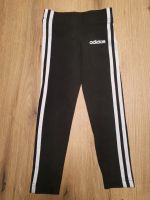 Leggings sporthose 110 116 Sachsen - Plauen Vorschau