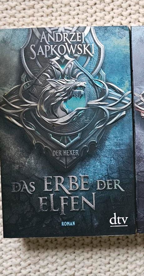 Die Hexer Saga - Das Erbe der Elfen ( The Witcher ) in Recklinghausen