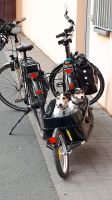 Fahrrad Hunde Anhänger Thüringen - Zella-Mehlis Vorschau