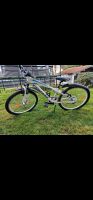 Conway 24 Zoll Fahrrad Nordrhein-Westfalen - Sundern (Sauerland) Vorschau