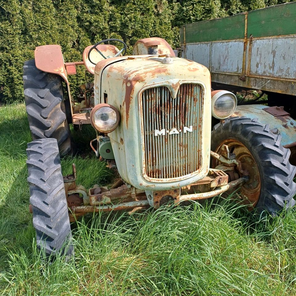 MAN 4r3 45PS Traktor Schlepper Ackerdiesel Allrad in Cölbe