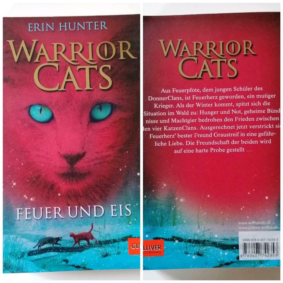 Warrior Cats Staffel 1: Band 1-3 in Floh-Seligenthal-Seligenthal