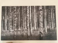 Leinwandbild Birkenwald Neu! 110x70cm OVP Thüringen - Bad Berka Vorschau