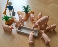 PLAYMOBIL Konvolut Schweine Schweinehirte gebr. ohne OVP Bayern - Goldbach Vorschau