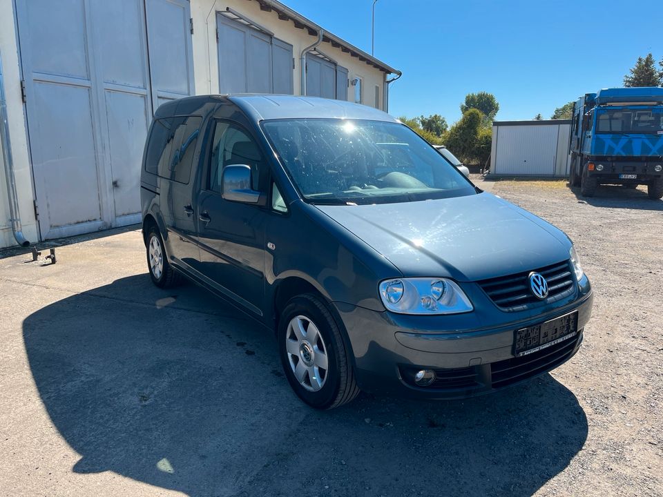 VW Caddy 1.6 Life 5 Sitzer in Werder (Havel)