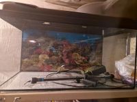 Aquarium 60L Nordrhein-Westfalen - Gummersbach Vorschau