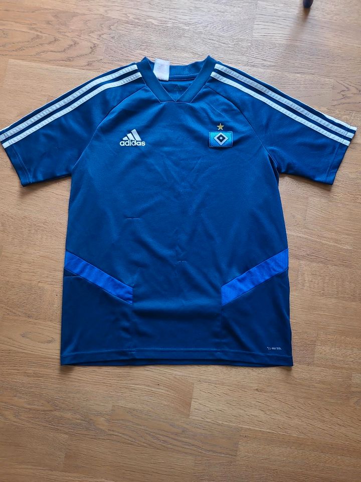 HSV Trainingsshirt Kinder Gr.L 164 in Oberelbert