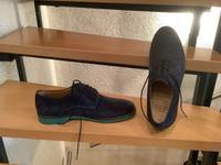 Gant Herren Schuhe blau grün neu 45 Dortmund - Lütgendortmund Vorschau