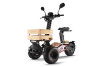 Velocifero EEC Mad Truck Elektro Scooter 1800W 60V 6"Lithium-on Nordrhein-Westfalen - Gelsenkirchen Vorschau