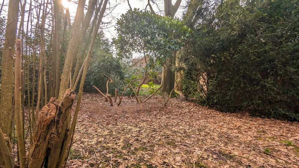 Einfamilienhaus mit gehobener Ausstattung und kleinem Wald in Hesel in Hesel