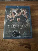 DVD Blu-Ray Phantastische Tierwesen Harry Potter Duisburg - Duisburg-Süd Vorschau