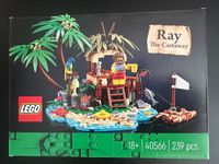 Lego 40566 Ray the Castaway Sachsen-Anhalt - Wolfen Vorschau