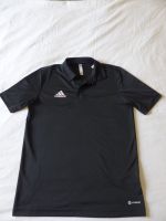 Adidas Shirt, Poloshirt, Polo Shirt, Polohemd, Aeroready, Gr. S, Nordrhein-Westfalen - Beckum Vorschau