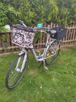 Damenfahrrad 28 Zoll Schleswig-Holstein - Elmshorn Vorschau