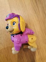 Paw Patrol Skye Obervieland - Habenhausen Vorschau