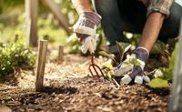 Gartenarbeitshelfer verfügbar! Aachen - Aachen-Richterich Vorschau