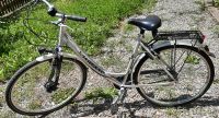 silbernes Damenfahrrad der Marke Staiger Baden-Württemberg - Reichenau Vorschau