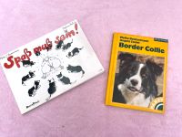 Sachbücher Border Collie Bayern - Eschau Vorschau