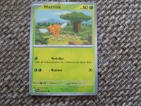 Pokemon - Wadribie 008/197 Bayern - Pfaffenhofen a.d. Ilm Vorschau