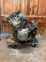 Honda Cbr 900 Sc33 Motor 39000 Fireblade Bayern - Ingolstadt Vorschau